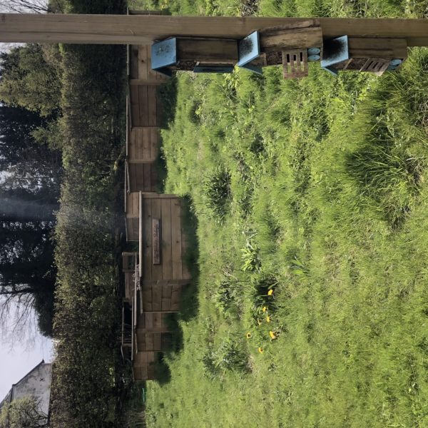 Un POTAGER partagé